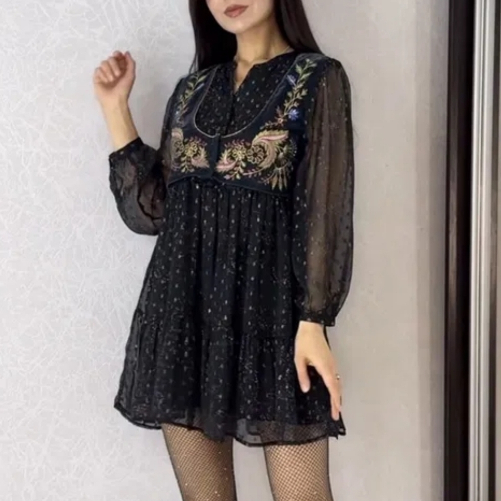 Zara Small Chiffon Vest Sheer Long Sleeve Fairy Dress